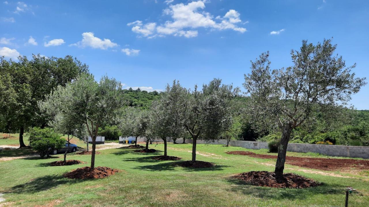 Casa Grazia Villa Rovinj Eksteriør billede